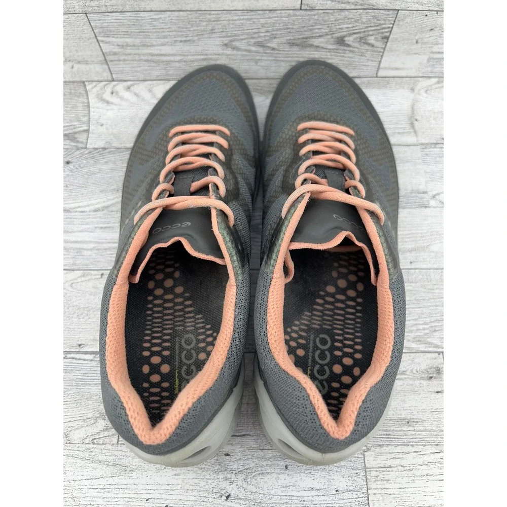 Ecco discover ultimate